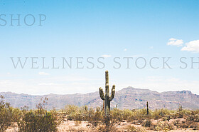 Stock Photos by Wellness Stock Shop