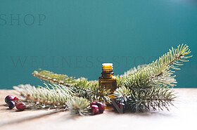 Sweet Holiday Essential Oils