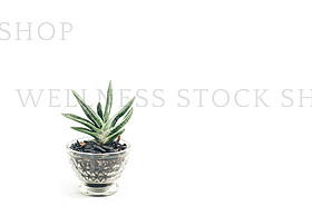 Stock Photography by Wellness Stock Shop http://wellnessstocksho