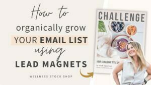 How To Organically Grow Your Email List Using Lead Magnets