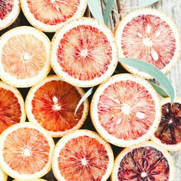 Blood Orange and Eucalyptus Collection 161 copy 1