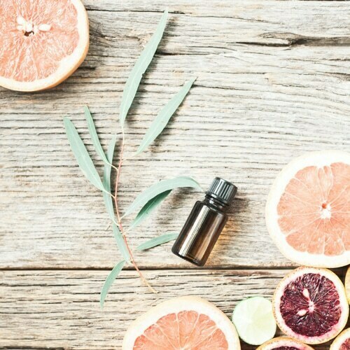 Blood Orange and Eucalyptus Collection 208