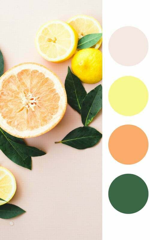 sample color palatte with pink and citruc fruits by Wellness Stock Shop