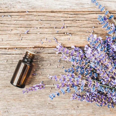 Beautiful compliant essential oil stock photo image with fresh lavender on rustic wood