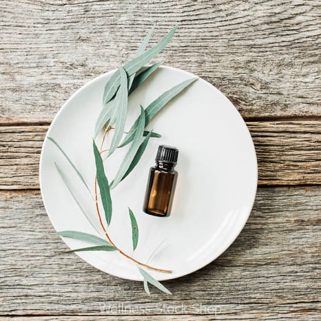 Beautiful essential oils stock photo image with rustic wood, white plate and eucalyptus