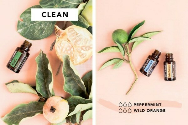 DoTERRA Instagram photos lush botanica peach and green collection